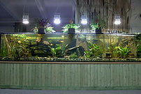 Aquariumbau Ennigerloh - Referenzen