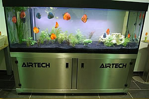 Aquariumbau Ennigerloh - Fa. Airtech Stickstoff GmbH